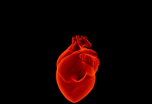 Infarto fulminante – A menopausa pode ser um fator de risco!